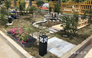 農學學子勇奪2018國賽園林景觀設計與施工賽項一等獎